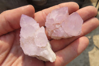 Natural Amethyst Cactus Flower Spirit Quartz Clusters x 20 From South Africa