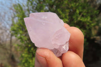 Natural Amethyst Cactus Flower Spirit Quartz Clusters x 20 From South Africa