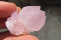 Natural Amethyst Cactus Flower Spirit Quartz Clusters x 20 From South Africa