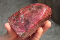 Polished Rhodonite Standing Free Form x 1 From Zimbabwe