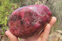 Polished Rhodonite Standing Free Form x 1 From Zimbabwe