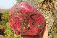 Polished Rhodonite Standing Free Form x 1 From Zimbabwe