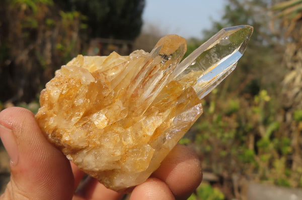 Natural Clear Quartz Crystal Clusters x 24 From Madagascar