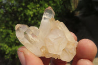 Natural Clear Quartz Crystal Clusters x 24 From Madagascar