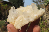 Natural Clear Quartz Crystal Clusters x 24 From Madagascar