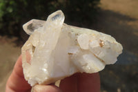 Natural Clear Quartz Crystal Clusters x 24 From Madagascar