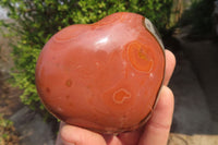 Polished Polychrome Jasper Hearts x 6 From Madagascar