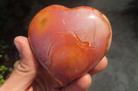 Polished Polychrome Jasper Hearts x 6 From Madagascar