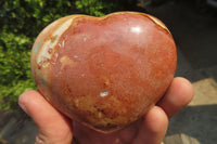 Polished Polychrome Jasper Hearts x 6 From Madagascar