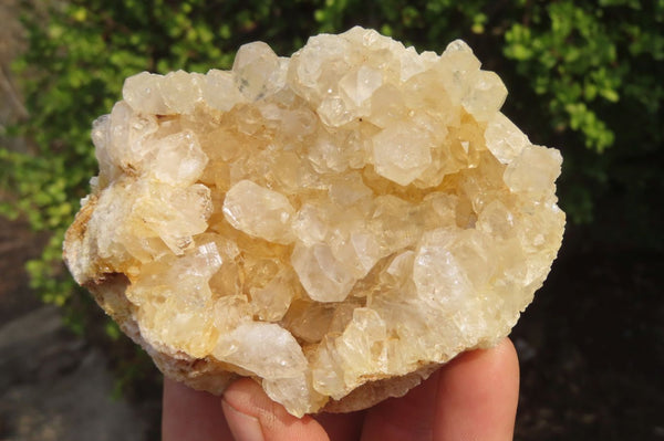 Natural Limonite Quartz Clusters x 5 From Zambia