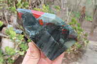 Polished Bloodstone With Pyrite Point x 1 From Swaziland