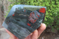 Polished Bloodstone With Pyrite Point x 1 From Swaziland