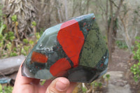 Polished Bloodstone With Pyrite Point x 1 From Swaziland