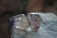 Natural Smokey Window Amethyst Crystals x 20 From Chiredzi, Zimbabwe