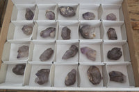 Natural Smokey Window Amethyst Crystals x 20 From Chiredzi, Zimbabwe