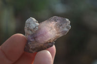 Natural Smokey Window Amethyst Crystals x 20 From Chiredzi, Zimbabwe