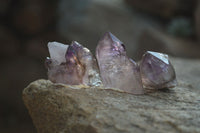 Natural Smokey Window Amethyst Crystals x 20 From Chiredzi, Zimbabwe