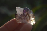 Natural Smokey Window Amethyst Crystals x 20 From Chiredzi, Zimbabwe