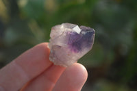 Natural Smokey Window Amethyst Crystals x 20 From Chiredzi, Zimbabwe