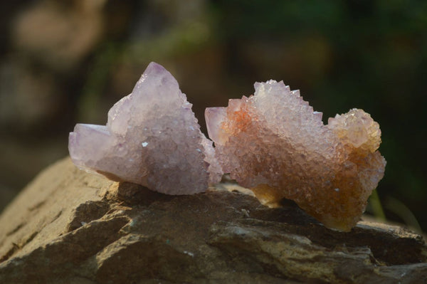 Natural Ametrine Spirit Quartz Clusters x 12 From Boekenhouthoek, South Africa