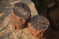 Polished Petrified Wood Branch Pieces x 3 From Gokwe, Zimbabwe