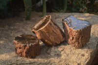 Polished Petrified Wood Branch Pieces x 3 From Gokwe, Zimbabwe