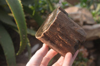 Polished Petrified Wood Branch Pieces x 3 From Gokwe, Zimbabwe