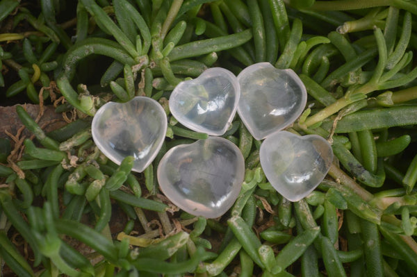 Polished Girasol Pearl Quartz Gemstone Hearts x 35 From Madagascar