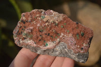 Natural Salrose Cobaltion Dolomite Specimens x 6 From Kakanda, Congo