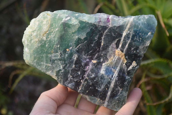 Natural Watermelon Fluorite Specimens x 2 From Uis, Namibia