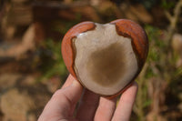 Polished Polychrome Jasper Hearts x 5 From Madagascar