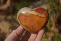 Polished Polychrome Jasper Hearts x 5 From Madagascar