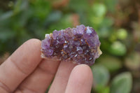 Natural Amethystos Amethyst Specimens x 70 From Kwaggafontein, South Africa