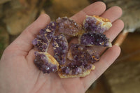 Natural Amethystos Amethyst Specimens x 70 From Kwaggafontein, South Africa