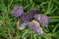 Natural Amethystos Amethyst Specimens x 70 From Kwaggafontein, South Africa