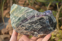 Natural Watermelon Fluorite Specimens x 2 From Namibia