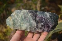 Natural Watermelon Fluorite Specimens x 2 From Namibia