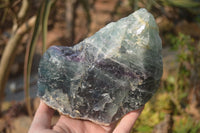 Natural Watermelon Fluorite Specimens x 2 From Namibia