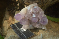 Natural Jacaranda Amethyst Quartz Clusters x 2 from Mumbwa, Zambia