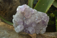 Natural Jacaranda Amethyst Quartz Clusters x 2 from Mumbwa, Zambia