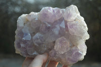 Natural Jacaranda Amethyst Quartz Clusters x 2 from Mumbwa, Zambia