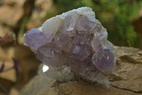 Natural Jacaranda Amethyst Quartz Clusters x 2 from Mumbwa, Zambia