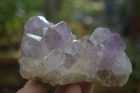 Natural Jacaranda Amethyst Quartz Clusters x 2 from Mumbwa, Zambia