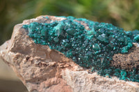 Natural Dioptase On Dolomite Specimen x 1 From Congo