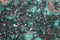 Natural Dioptase On Dolomite Specimen x 1 From Congo