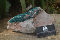 Natural Dioptase On Dolomite Specimen x 1 From Congo