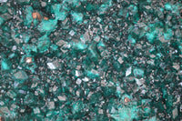 Natural Dioptase On Dolomite Specimen x 1 From Congo