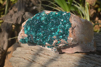 Natural Dioptase On Dolomite Specimen x 1 From Congo