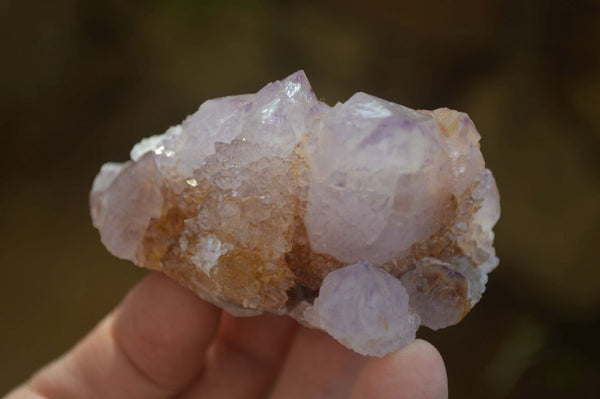 Natural Ametrine Spirit Quartz Clusters x 12 From Boekenhouthoek, South Africa