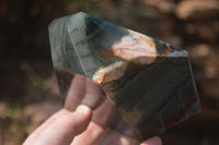 Polished Bloodstone With Pyrite Point x 1 From Swaziland